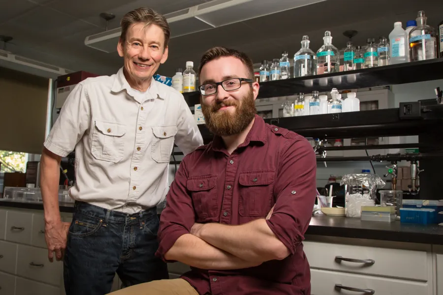 U. of I. professor Ken Paige, standing, and graduate student Miles Mesa study the molecular underpinnings of plant defenses.  