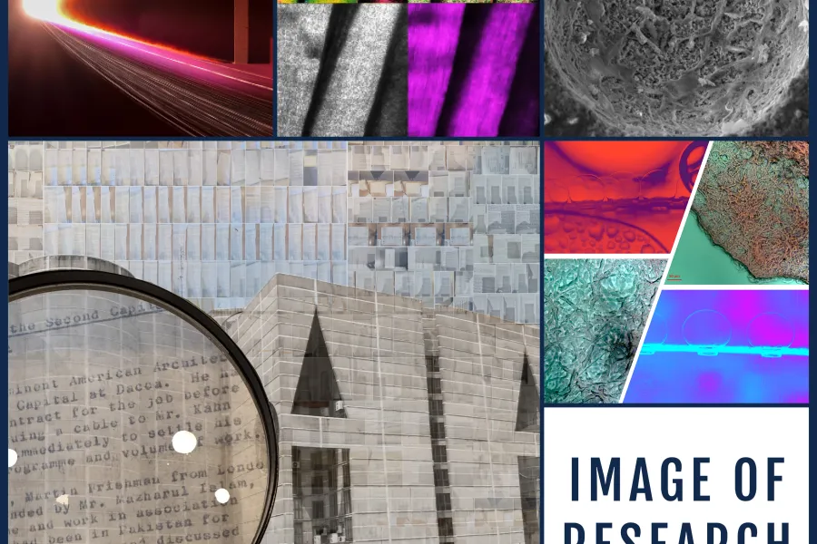 IoR_Winners_Article_Image_-_2024.jpg