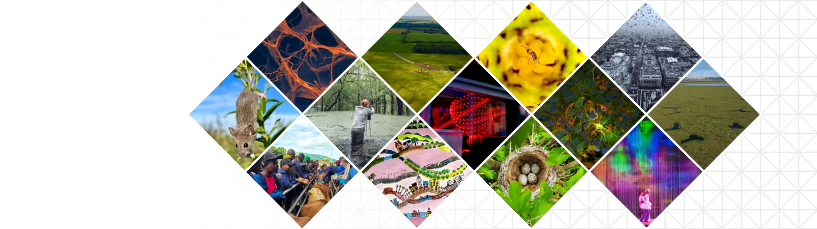 Previous Image of Research finalist submissions