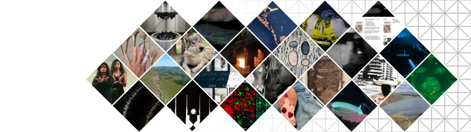 24 submissions to Image of Resarch 2026