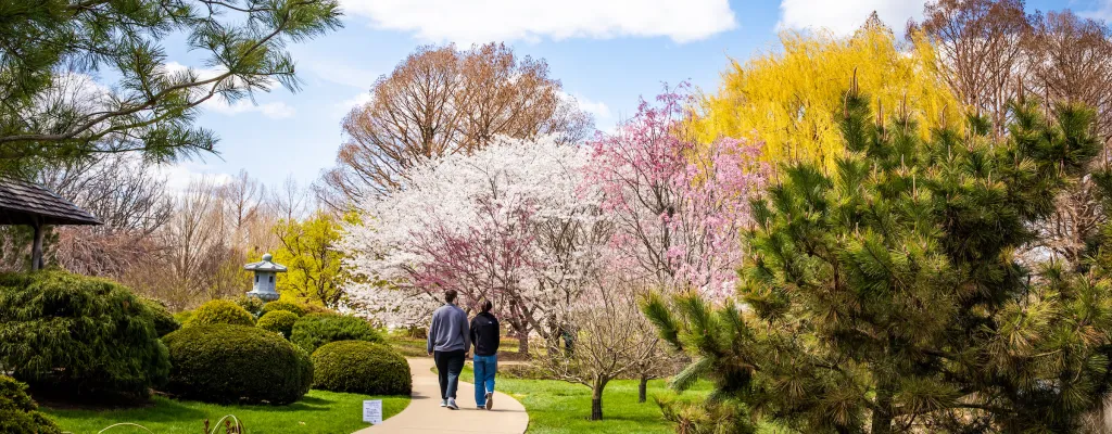 students walking in public garden