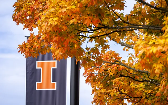 blue street banner with orange I logo and tree with fall colors
