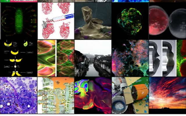 Image of Research semi-finalists 