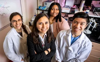 Targeting estrogen receptor-positive breast tumors with the XPO1 antagonist selinexor and the tamoxifen byproduct 4-OHT simultaneously rewires the cells’ metabolism to overcome endocrine resistance, University of Illinois researchers  found in a new study.  