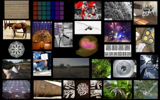 Image of Research Semi-finalists image collage 