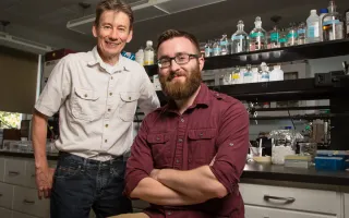 U. of I. professor Ken Paige, standing, and graduate student Miles Mesa study the molecular underpinnings of plant defenses.  