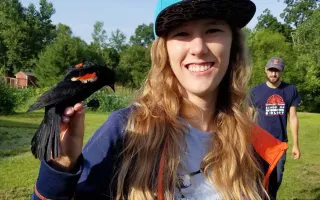 Illinois graduate student Shelby Lawson studies the interactions of red-winged blackbirds, cowbirds and yellow warblers. 