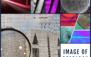 IoR_Winners_Article_Image_-_2024.jpg