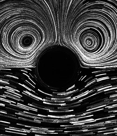 Smile, You’re on High Speed Camera