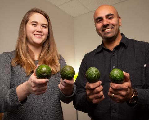 Graduate student Caitlyn Edwards and professor Naiman Khan hold avocados