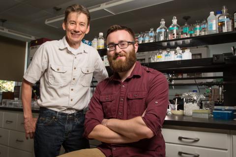 U. of I. professor Ken Paige, standing, and graduate student Miles Mesa study the molecular underpinnings of plant defenses. 
