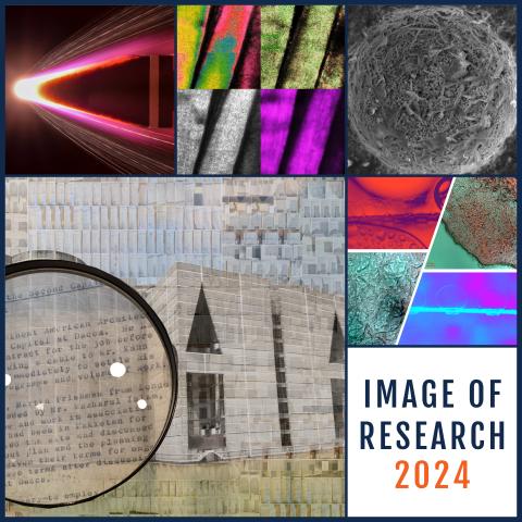 Image of Research 2024