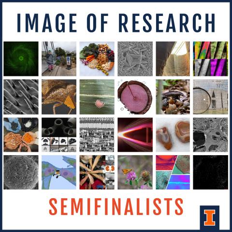 A gallery of the Image of Research 2024 Semifinalists