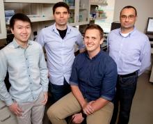 Illinois researchers pictured, from left: graduate student Colin Lim, professor Thomas Gaj, graduate student Michael Gapinske, professor Pablo Perez-Pinera.