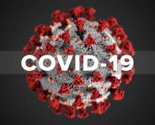 Coronavirus Disease 2019 (COVID-19) 